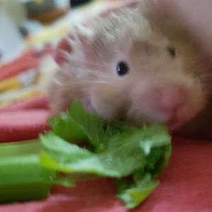 Meet your Posher, Caitlynn